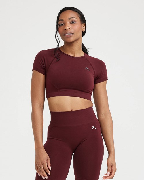Oner Active Effortless Seamless Krótkie Sleeve Crop Top Rosewood | 174QFOHTE