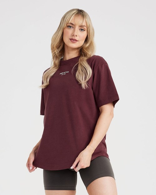 Oner Active Grafiką Oversized Krótkie Sleeve Tee Washed Rosewood | 690DWQBJE