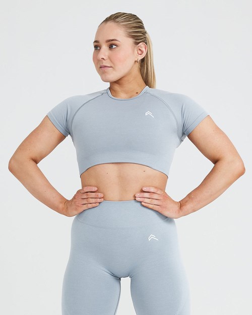Oner Active Klasyczne Seamless 2.0 Krótkie Sleeve Crop Top Szare | 902GABEXZ